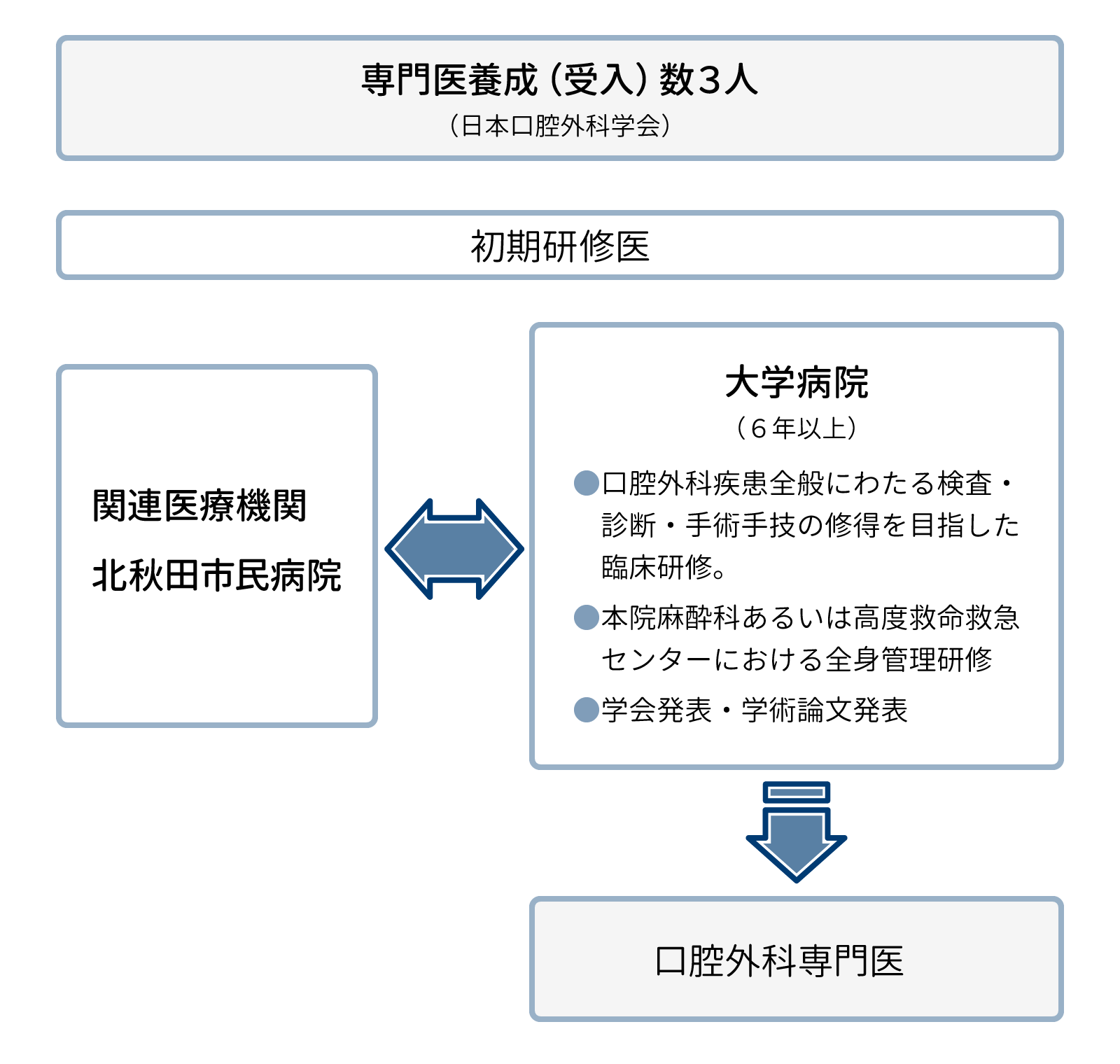口腔外科専門医養成コースの研修の流れ
